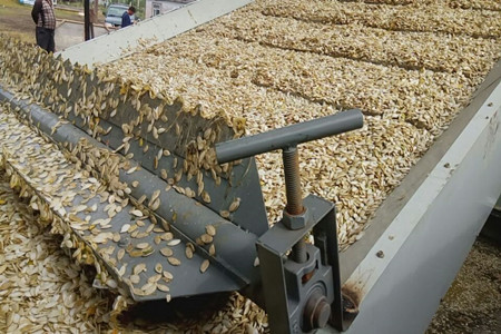 pumpkin seed drying machine